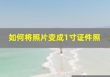 如何将照片变成1寸证件照