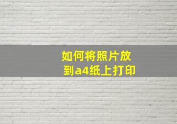 如何将照片放到a4纸上打印