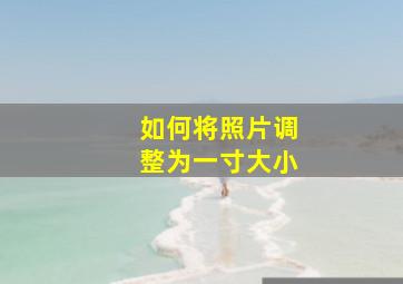 如何将照片调整为一寸大小