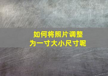 如何将照片调整为一寸大小尺寸呢