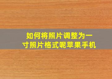 如何将照片调整为一寸照片格式呢苹果手机