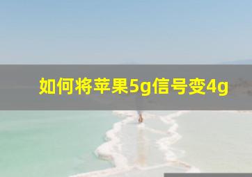 如何将苹果5g信号变4g