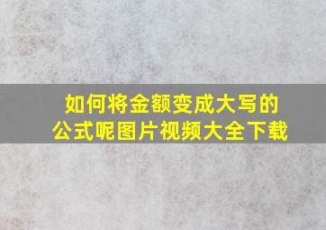 如何将金额变成大写的公式呢图片视频大全下载