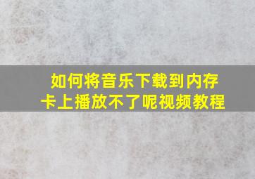 如何将音乐下载到内存卡上播放不了呢视频教程