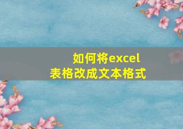 如何将excel表格改成文本格式