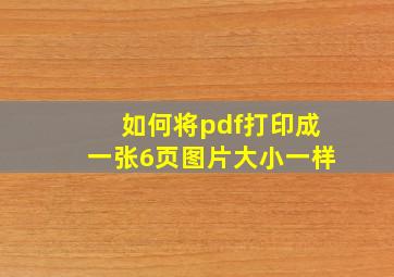 如何将pdf打印成一张6页图片大小一样