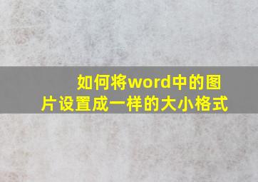 如何将word中的图片设置成一样的大小格式