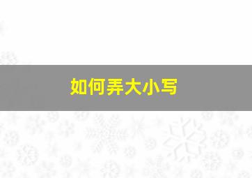 如何弄大小写