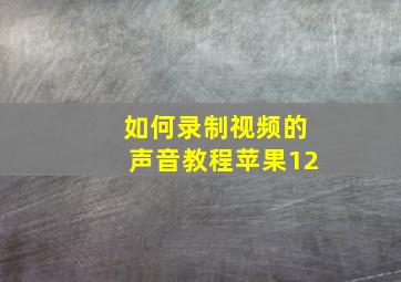 如何录制视频的声音教程苹果12