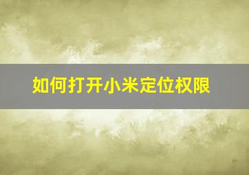 如何打开小米定位权限