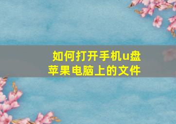 如何打开手机u盘苹果电脑上的文件