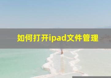 如何打开ipad文件管理