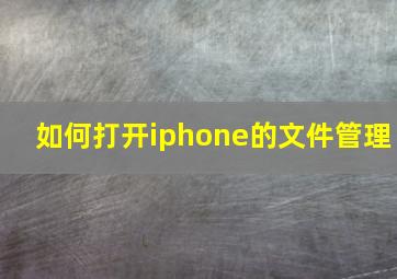 如何打开iphone的文件管理