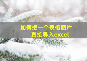 如何把一个表格图片直接导入excel