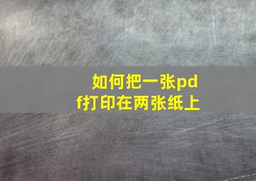 如何把一张pdf打印在两张纸上