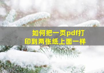 如何把一页pdf打印到两张纸上面一样