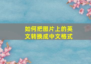 如何把图片上的英文转换成中文格式