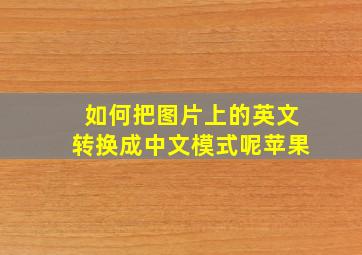 如何把图片上的英文转换成中文模式呢苹果