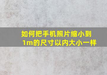 如何把手机照片缩小到1m的尺寸以内大小一样