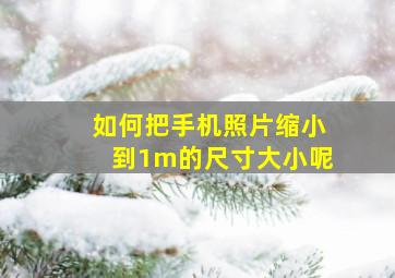 如何把手机照片缩小到1m的尺寸大小呢