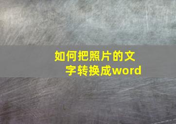 如何把照片的文字转换成word