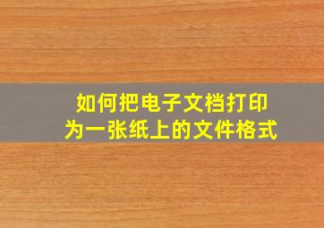 如何把电子文档打印为一张纸上的文件格式