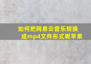 如何把网易云音乐转换成mp4文件形式呢苹果