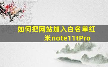 如何把网站加入白名单红米note11tPro