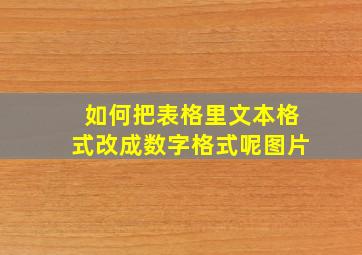 如何把表格里文本格式改成数字格式呢图片