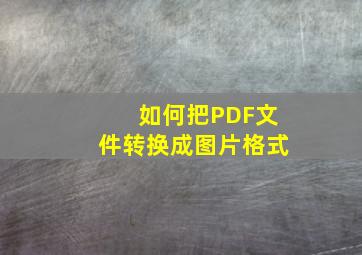 如何把PDF文件转换成图片格式