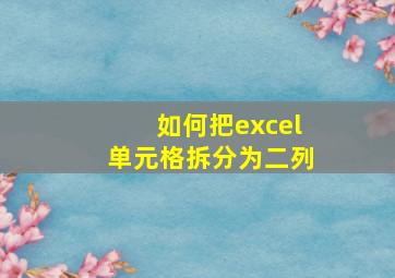 如何把excel单元格拆分为二列