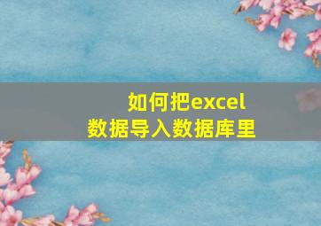 如何把excel数据导入数据库里