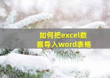 如何把excel数据导入word表格