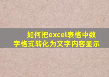 如何把excel表格中数字格式转化为文字内容显示