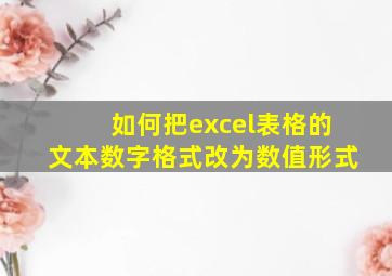 如何把excel表格的文本数字格式改为数值形式