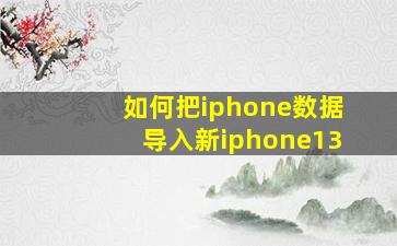 如何把iphone数据导入新iphone13