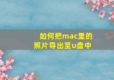 如何把mac里的照片导出至u盘中