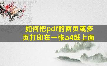 如何把pdf的两页或多页打印在一张a4纸上面