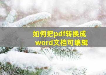 如何把pdf转换成word文档可编辑