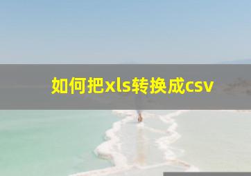 如何把xls转换成csv