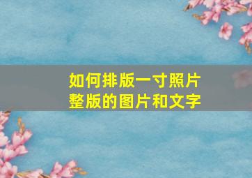 如何排版一寸照片整版的图片和文字