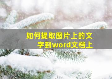 如何提取图片上的文字到word文档上