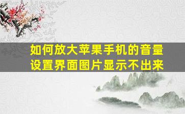 如何放大苹果手机的音量设置界面图片显示不出来