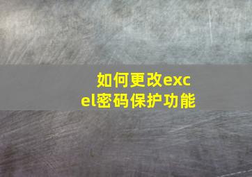 如何更改excel密码保护功能