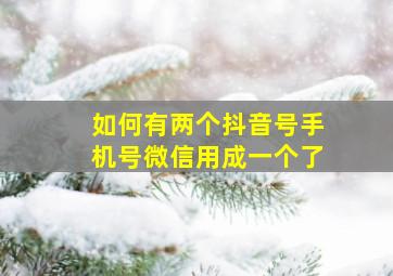 如何有两个抖音号手机号微信用成一个了