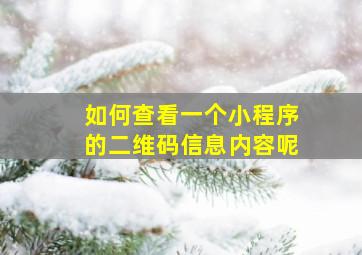 如何查看一个小程序的二维码信息内容呢