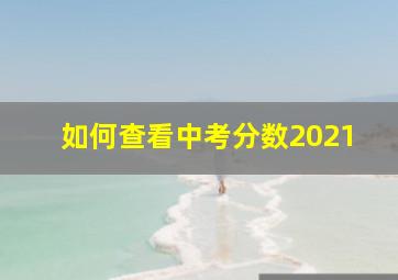 如何查看中考分数2021