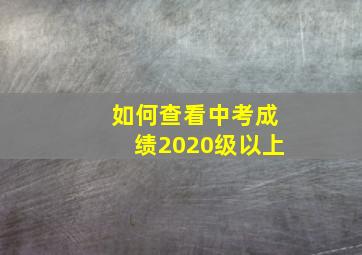 如何查看中考成绩2020级以上