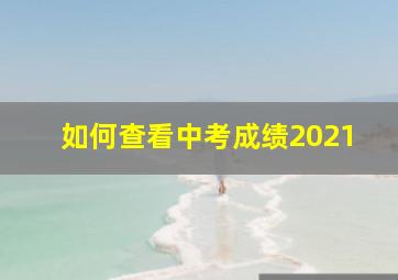 如何查看中考成绩2021