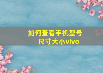 如何查看手机型号尺寸大小vivo